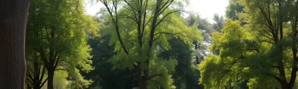 Discover Fascinating Trees on the Guided Walking Tree Tour