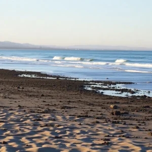 Polluted Coronado Beach due to Tijuana River contamination