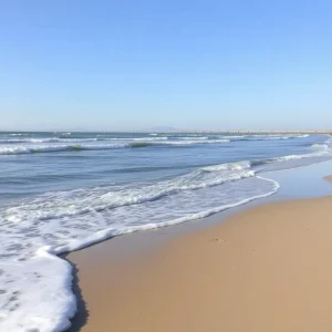 Proposed sewage pipeline near Coronado beach